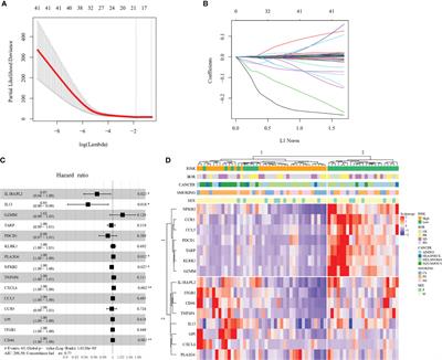 A Novel Computational Framework for Predicting the Survival of Cancer Patients With PD-1/PD-L1 Checkpoint Blockade Therapy